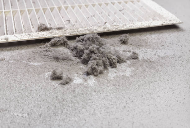 Best Affordable Duct Cleaning Services  in Bridgeport, AL
